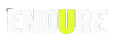ENDURE Logo